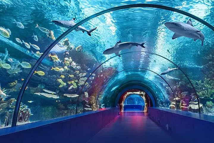 Florya_Aquarium